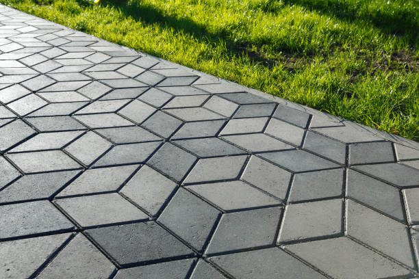 Best Driveway Paving Contractor  in Dentsville, SC